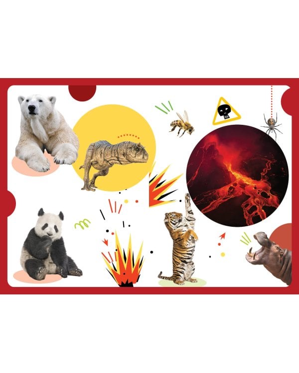 Самые опасные динозавры, современные животные и природные явления