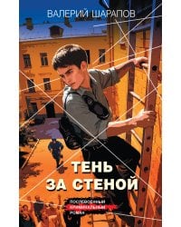 Тень за стеной