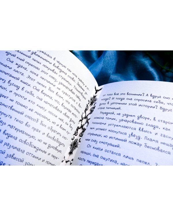 Liber Obscura. Тёмная книга, Эрика и её кошмарное приключение в двузначность