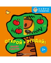 Открой и угадай! Играем в прятки