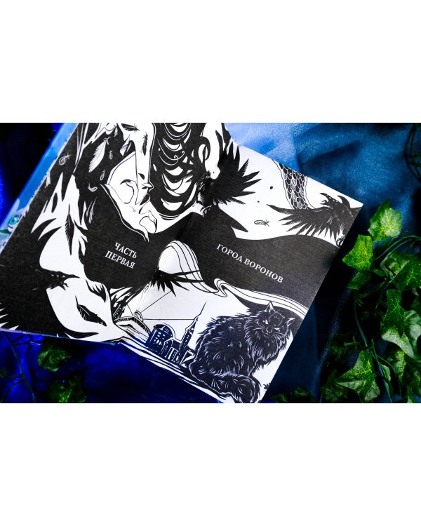 Liber Obscura. Тёмная книга, Эрика и её кошмарное приключение в двузначность