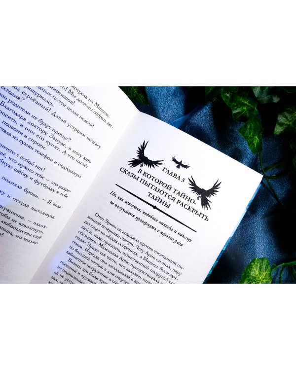 Liber Obscura. Тёмная книга, Эрика и её кошмарное приключение в двузначность