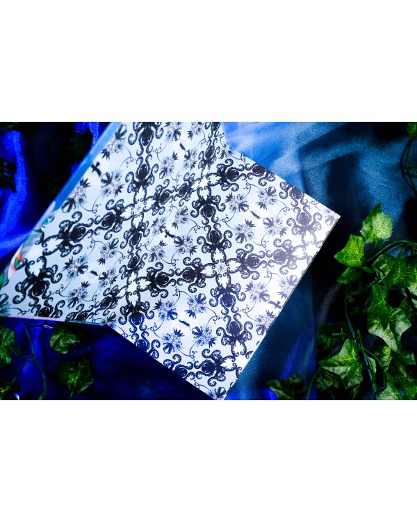 Liber Obscura. Тёмная книга, Эрика и её кошмарное приключение в двузначность