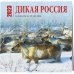Дикая Россия. Календарь настенный на 16 месяцев на 2023 год (300х300 мм)