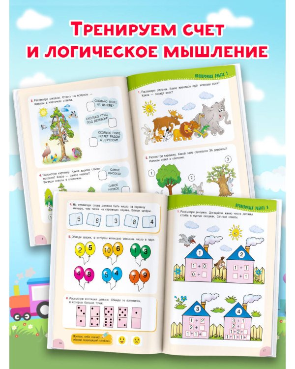 Проверочные работы для дошкольников. Математика