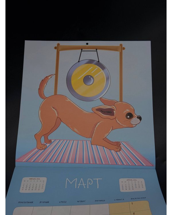 Чихуахуа на чилле. Календарь отдыха и спокойствия. Календарь настенный на 2026 год (300х300)