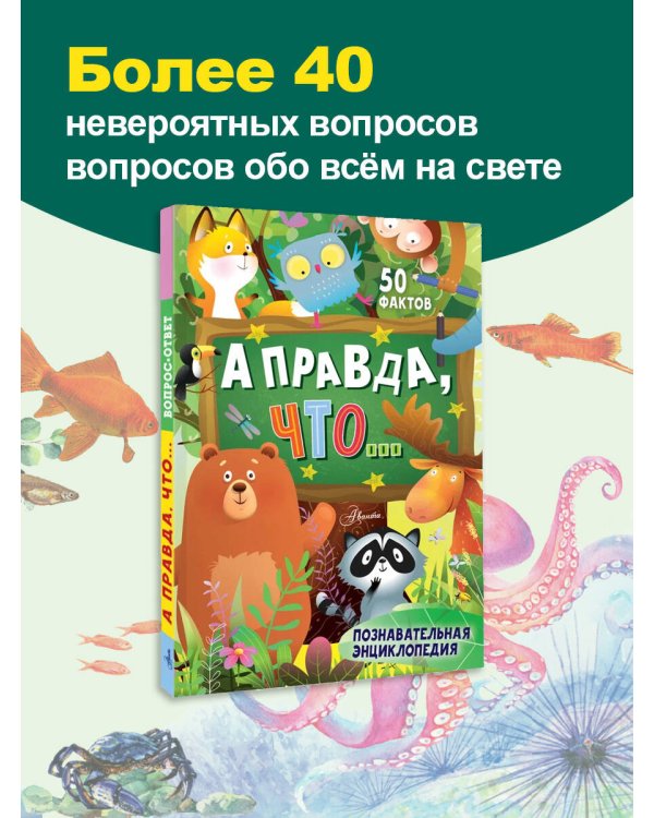 А правда, что...