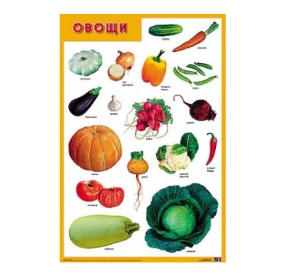 Обложка книги «Развивающие плакаты. Овощи», ISBN 9785431518836