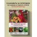 Нетипичные дачники. Новый опыт загородной жизни от блогеров На умной даче с Оксаной Станкевич. Секреты и практика современного садовода