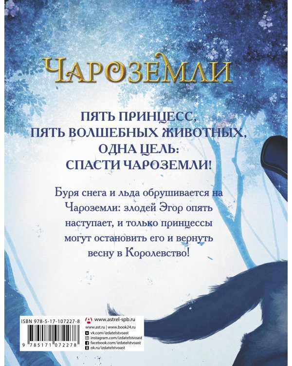 Чароземли. Тайна принцесс