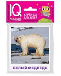 Умный малыш. Животные полярных широт. Набор карточек для детей.