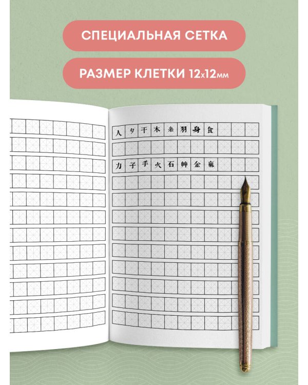 Тетрадь для иероглифов (Фудзи и сакура)