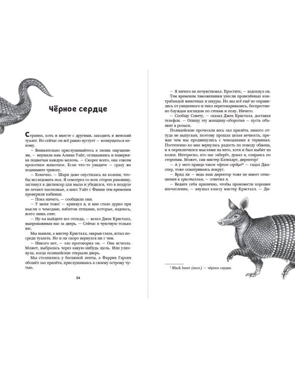 Новый враг (#6)