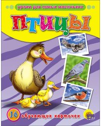 Птицы