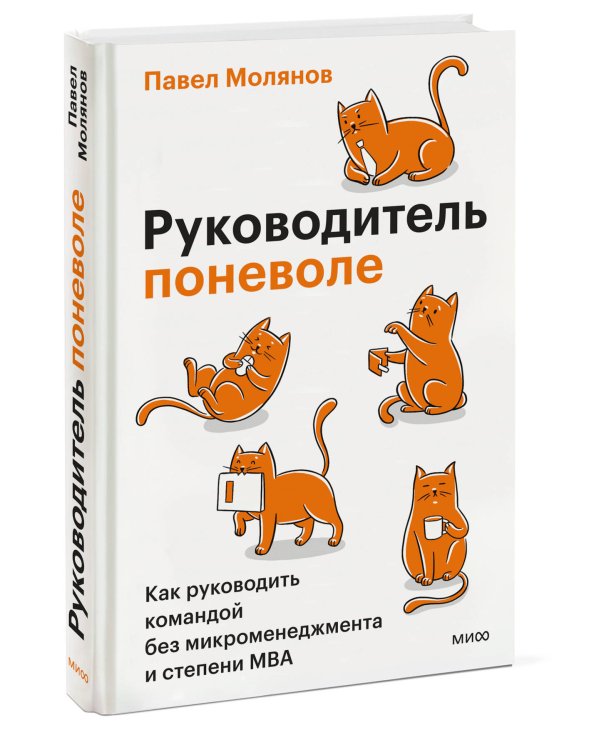 Дополнительное изображение книги «Руководитель поневоле. Как руководить командой без микроменеджмента и степени MBA»