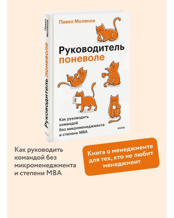Дополнительное изображение книги «Руководитель поневоле. Как руководить командой без микроменеджмента и степени MBA»