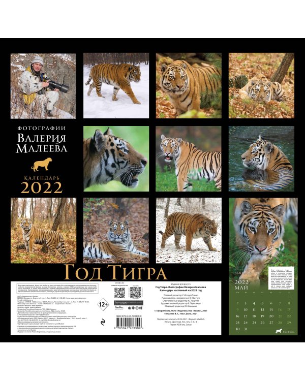 Год тигра. Фотографии Валерия Малеева. Календарь настенный на 2022 год (300х300 мм)