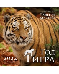 Год тигра. Фотографии Валерия Малеева. Календарь настенный на 2022 год (300х300 мм)