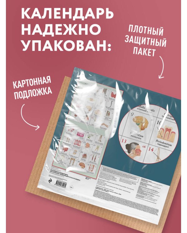 Дополнительное изображение книги «Анатомия на каждый день. 365 латинских терминов для студента-медика. Календарь настенный на 2027 год (300х300 мм)»