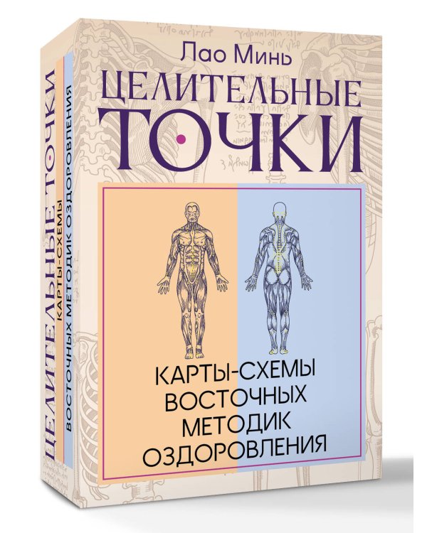 Дополнительное изображение книги «Целительные точки: Карты-схемы восточных методик оздоровления»