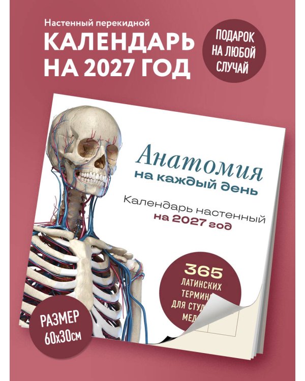 Дополнительное изображение книги «Анатомия на каждый день. 365 латинских терминов для студента-медика. Календарь настенный на 2027 год (300х300 мм)»