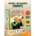 Дополнительное изображение книги «Шопен, соната номер два. Рассказы»