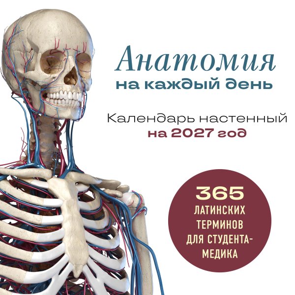Обложка книги «Анатомия на каждый день. 365 латинских терминов для студента-медика. Календарь настенный на 2027 год (300х300 мм)», ISBN 9785042379062