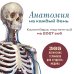 Обложка книги «Анатомия на каждый день. 365 латинских терминов для студента-медика. Календарь настенный на 2027 год (300х300 мм)», ISBN 9785042379062