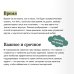 Час твоего рассвета. Японский метод планирования жизни и достижения целей
