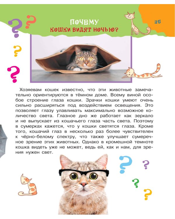 Большая книга почему