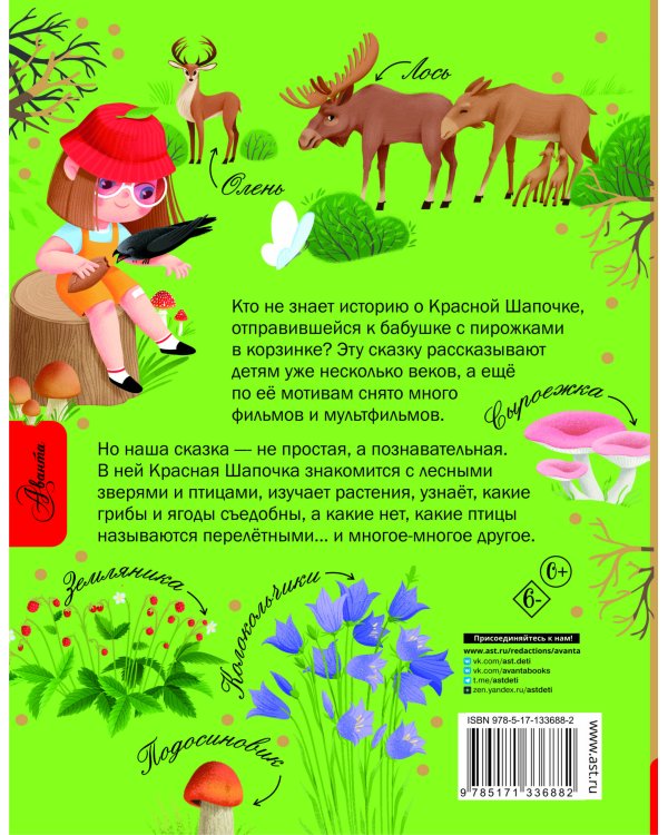 Красная Шапочка и тайны леса