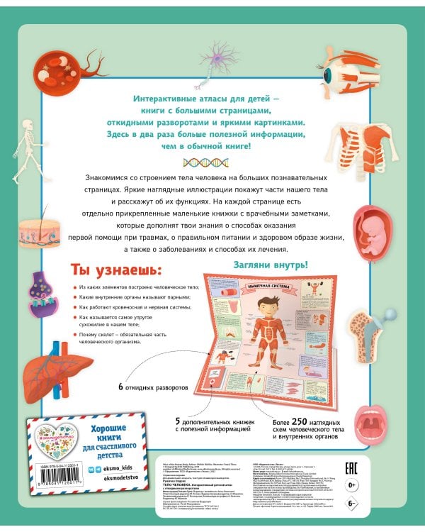 Тело человека. Интерактивный детский атлас с откидными разворотами