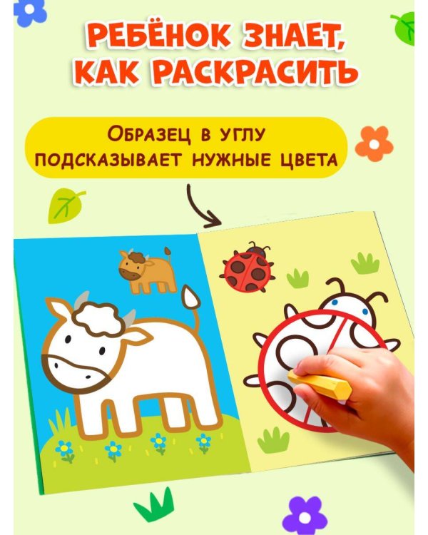 Раскраска с цветным контуром (Петух)