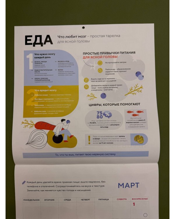 Этот год я посвящаю мозгу. 12 месяцев развития полезных привычек. Календарь настенный на 2026 год (300х300)