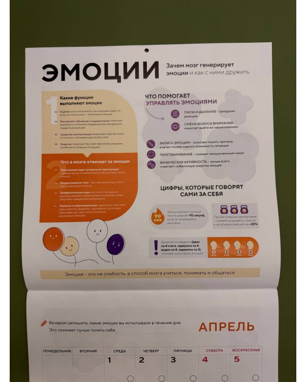 Этот год я посвящаю мозгу. 12 месяцев развития полезных привычек. Календарь настенный на 2026 год (300х300)