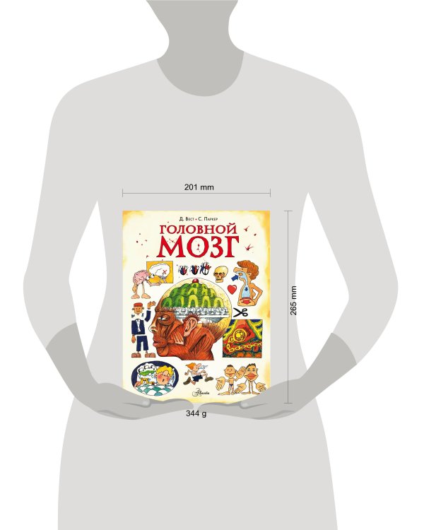 Головной мозг