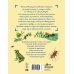 Самые лучшие почемучкины книжки Сколько глаз у стрекозы?