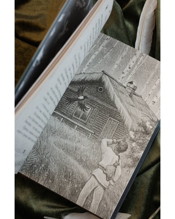 Сорочье гнездо