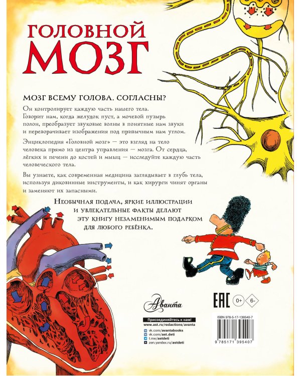 Головной мозг