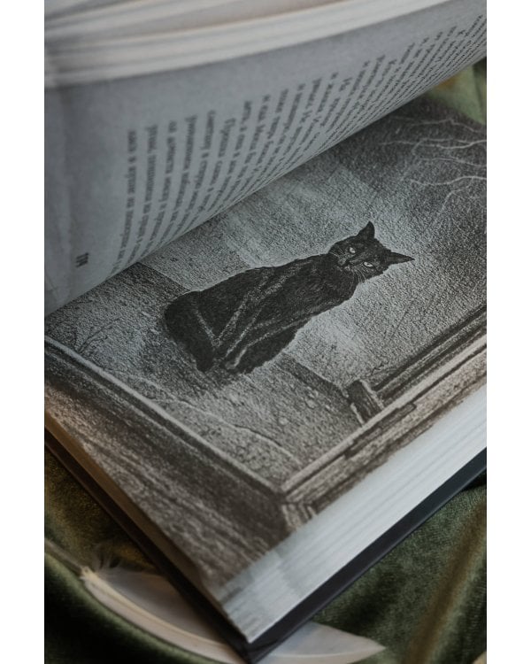 Сорочье гнездо