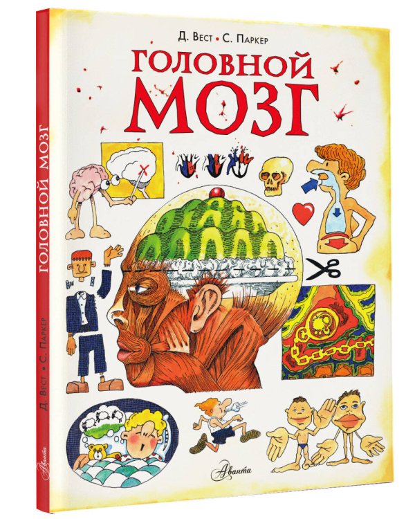 Головной мозг