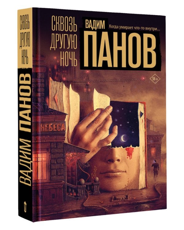 Сквозь другую ночь