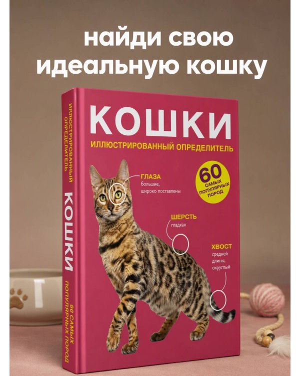 Дополнительное изображение книги «Кошки. 60 самых популярных пород. Иллюстрированный определитель»