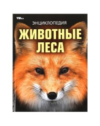Животные леса. Энциклопедия. 197х255 мм. 7БЦ. 48 стр. Умка в кор.15шт