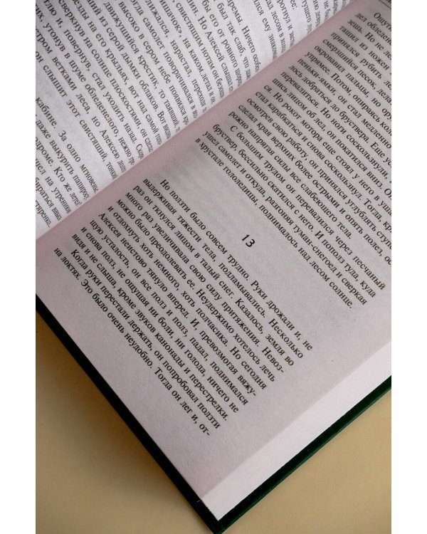 Повесть о настоящем человеке