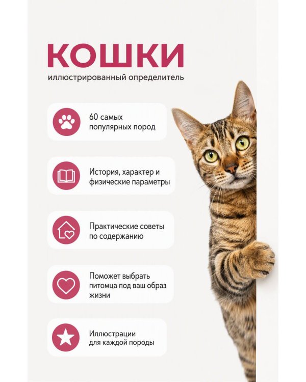 Дополнительное изображение книги «Кошки. 60 самых популярных пород. Иллюстрированный определитель»