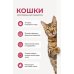 Дополнительное изображение книги «Кошки. 60 самых популярных пород. Иллюстрированный определитель»