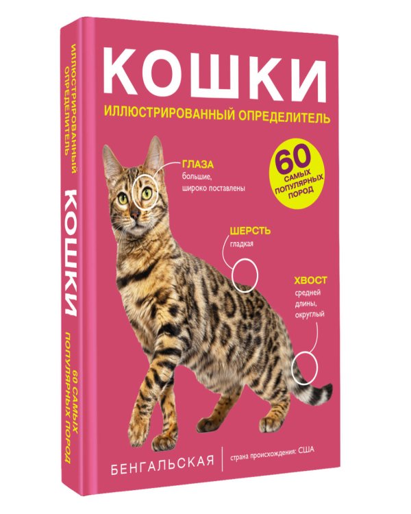 Дополнительное изображение книги «Кошки. 60 самых популярных пород. Иллюстрированный определитель»