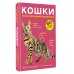 Дополнительное изображение книги «Кошки. 60 самых популярных пород. Иллюстрированный определитель»