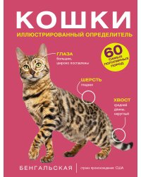Кошки. 60 самых популярных пород. Иллюстрированный определитель